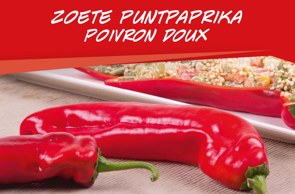 Poivron doux barq. 6