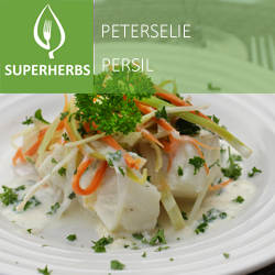 Persil pot 14