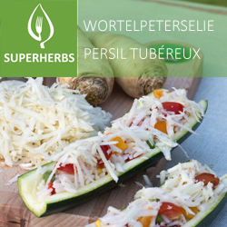 Persil tubéreux pot 14