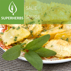Sauge pot 14