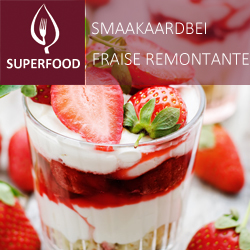 Fraise remontante pot 14