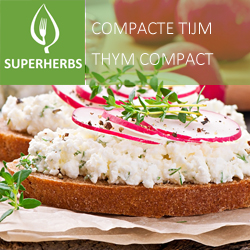 Thym compact pot 14