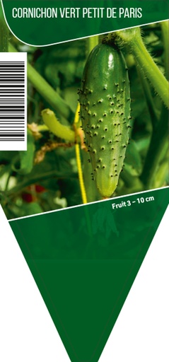 [3010] Cornichon pot 10,5
