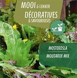 [9580] Moutarde mix pot 14