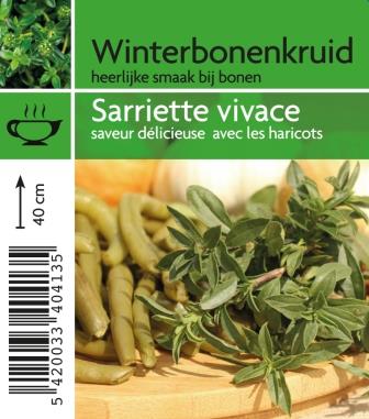 [4130] Sarriette vivace