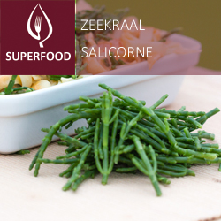 [9815] Salicorns = cornichon du mère